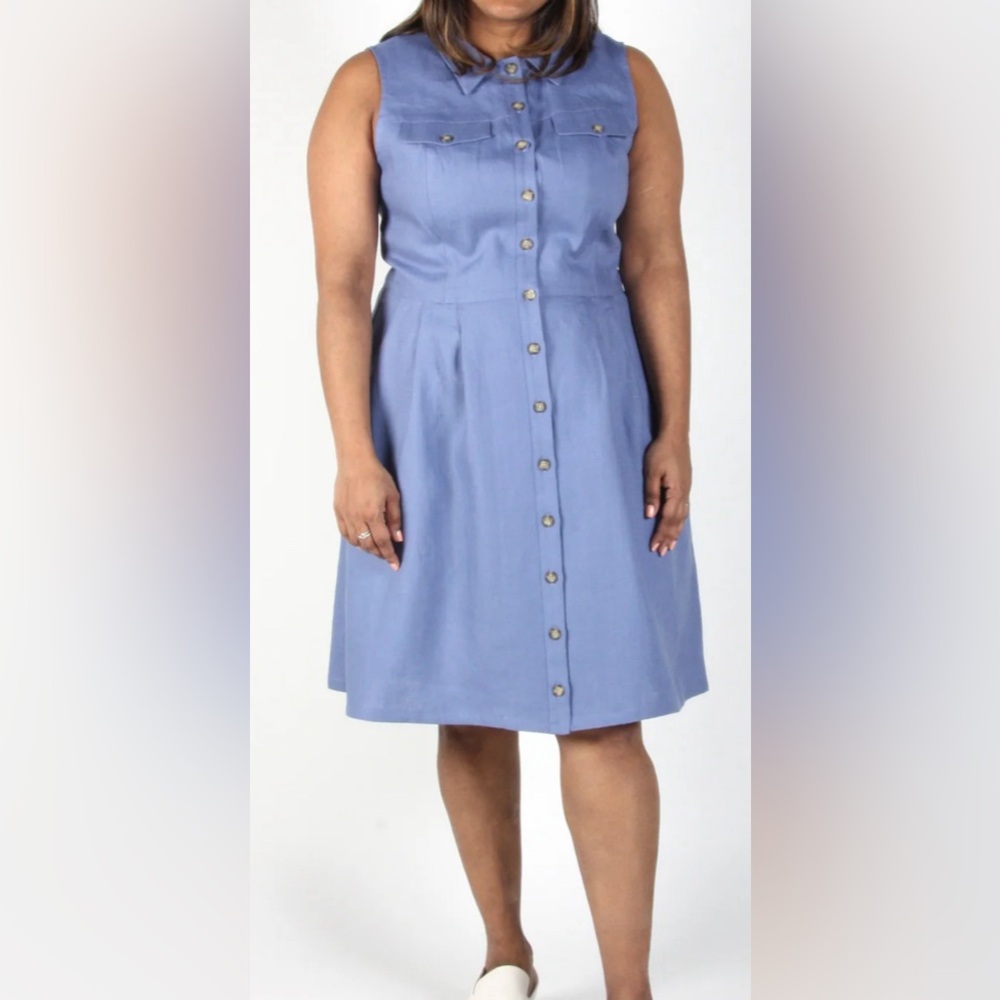 New! Birds of North America Tree Mouse linen Dress - Hyacinth size 4
